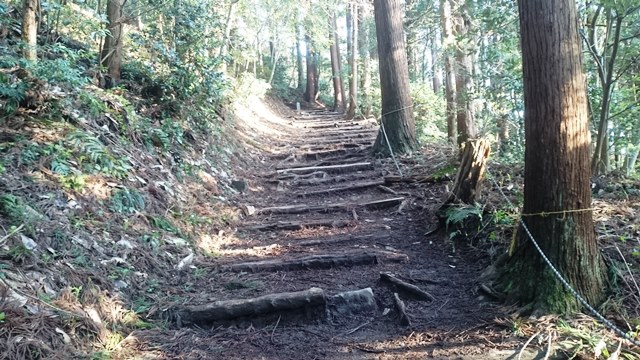 160409yahiko (54)