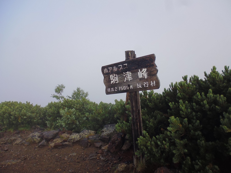 2時間半ほど濡れながら歩き、たどり着いた駒津峰分岐